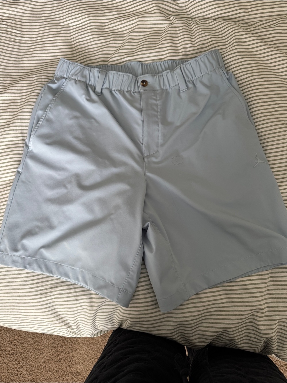 Jordan Men’s Light Blue Shorts